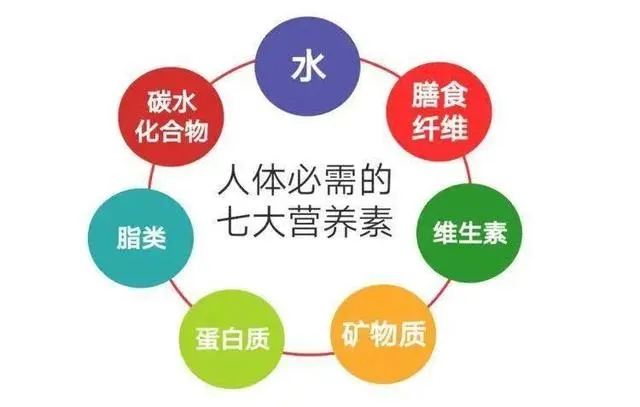 图片展示了人体必需的七大营养素,以圆形图案呈现,分别为水、膳食纤维、维生素、矿物质、蛋白质、脂类、碳水化合物,围绕在“人体必需的七大营养素”文字周围。图片位于文档中“老年人营养补充指南”部分,在阐述老年人常见营养问题之前,其与上下文的关系是:通过图示直观呈现人体所需的基本营养素,为后文介绍老年人常见营养缺乏问题以及不同状况老年人的营养需求等内容做铺垫,让读者对营养基础概念有初步认知。