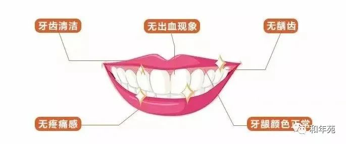 图片展示了老年人口腔健康10项指标。画面中是一张微笑的牙齿示意图,标注了五个关键指标:牙齿清洁、无出血现象、无龋齿、无疼痛感、牙龈颜色正常。这些指标与文档中老年人口腔健康10项指标指导框架的内容相呼应,直观呈现了老年人口腔健康的重要标准,帮助子女在照顾家中老年人时,关注其口腔健康状况。