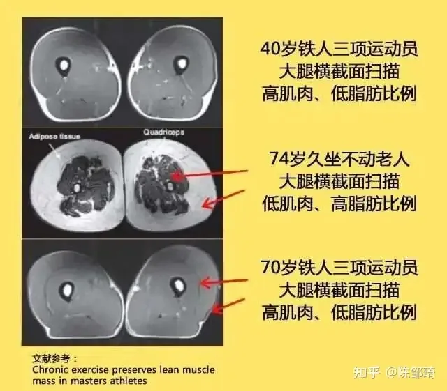 图片展示了 自动生成图片