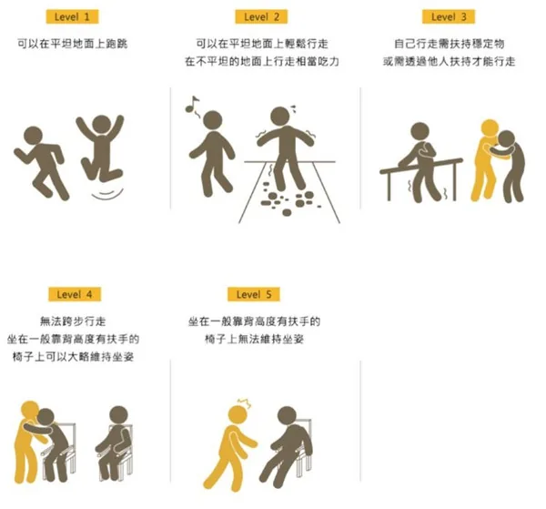 图片展示了GMFCS量表中行走能力的评估内容。分为Level 1至Level 5/goto/2026/06/22/1639593333733.png